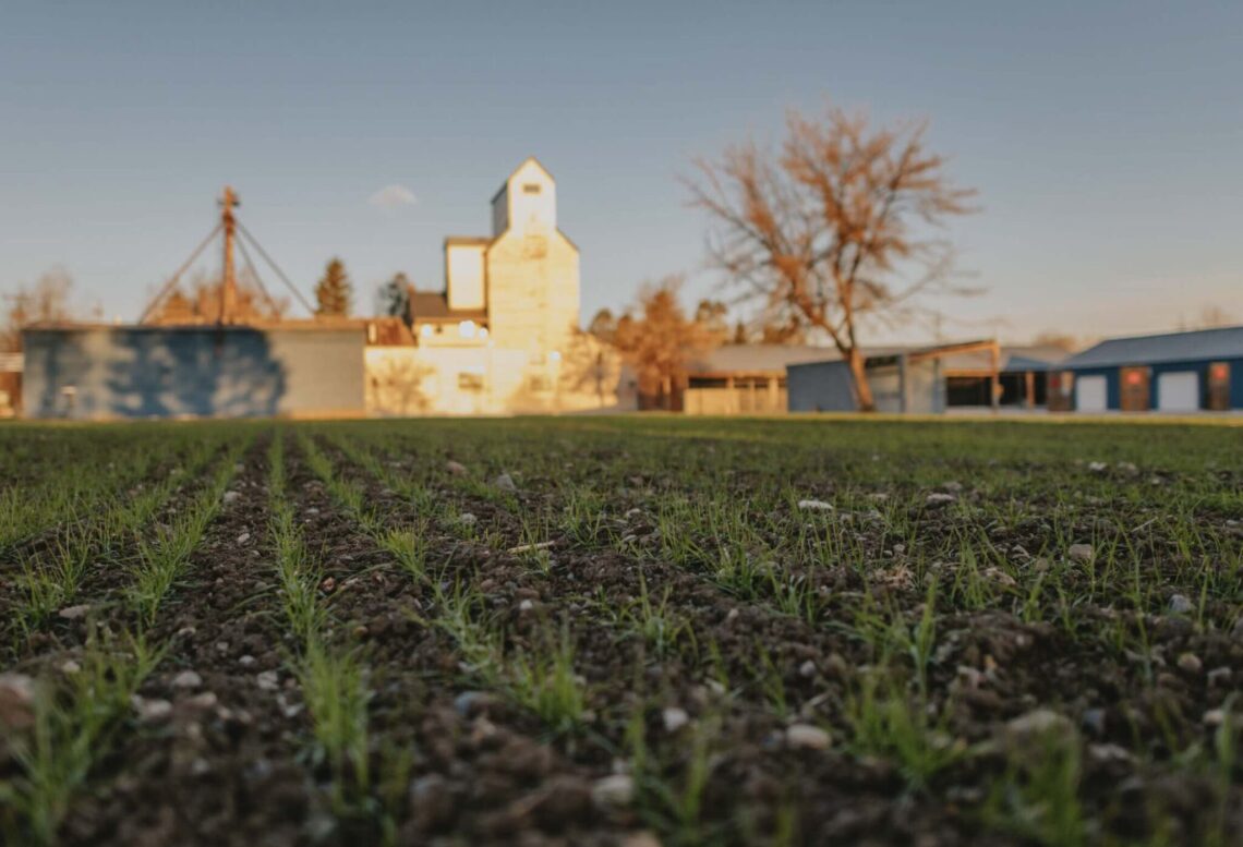 Tinworks Art announces 2024 exhibition season including public events 